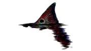 Showintail Inshore Charters