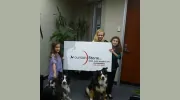 Mountain Storm Insurance Las Vegas