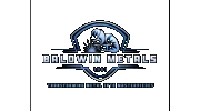 Baldwin Metals