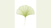 Monroe Healing Therapies