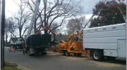 Frady Tree Care
