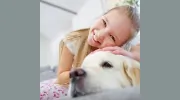 iSteam Carpet Care