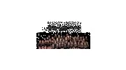 Tift Gymnastics Academy
