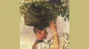 Tesoro Flowers