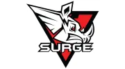 Surge to New Levels