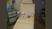 Prescott Podiatry