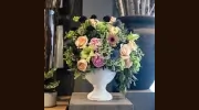 Pure Design