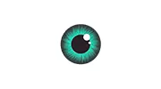Chelmsford Optometric Associates