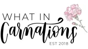 What in Carnations
