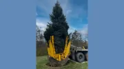 Brobst Landscaping