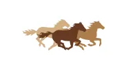 Sonora Bank