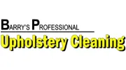 Barry's Professional Upholstery Cleaning