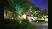 Robert Davie & Associates