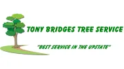 Tony Bridges Tree Service