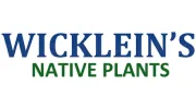 Wickleins Native Plants
