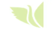 DC Counseling & Psychotherapy Center