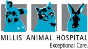 Millis Animal Hospital