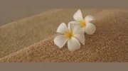 Exhale Massage