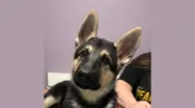 Cudahy Veterinary Clinic