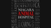 Niagara Animal Hospital