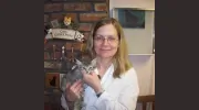 Feline Veterinary Hospital