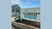 Angelcare Veterinary Hospital