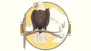 Golden Eagle Cleaning Service