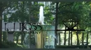 L J Boss