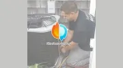 Silvia Service