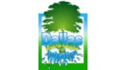 Dallas Landscape and Irrigation