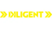 Diligent Concrete Washout
