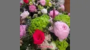 Lisa's Flowers