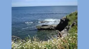 Serenity Corner