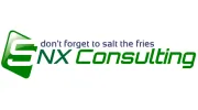 SNX Consulting