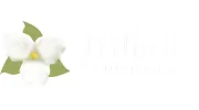 Trillium Acupuncture