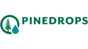 Pinedrops Painting