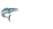 Jammin Fishing Charters