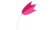 Carrollwood Florist
