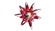 Lotus Center of Healing