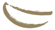 Jeffrey Santilli, DDS