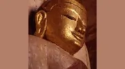 Insight Meditation Center