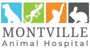 Montville Animal Hospital
