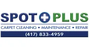 Spot Plus Carpet