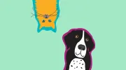 Mount Vernon Animal Hospital