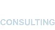 Snow Consulting