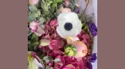Urban Flowers