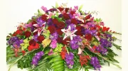 Brenda Abbott Floral Design