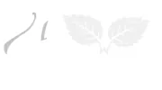 Mint Valley Federal Credit Union