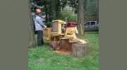 Brad's Stump & Tree Service