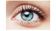 LaFreniere Eyecare